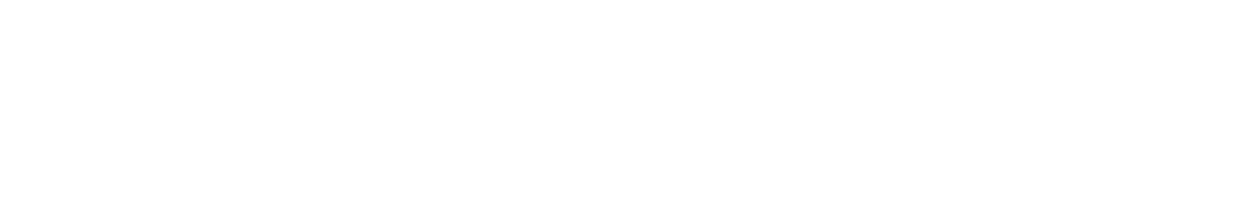 Wedded Wonderland